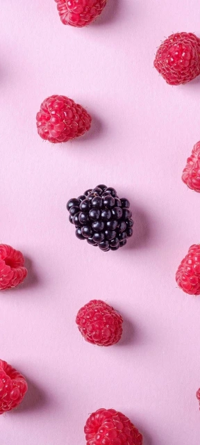 Blackberry and Raspberries on Pink