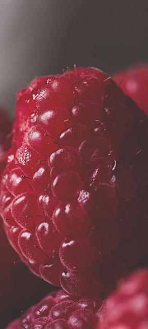 Close Up of Red Raspberries