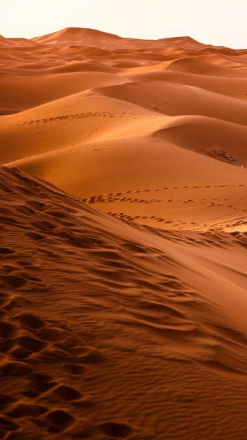 Desert Morocco Dune Sand