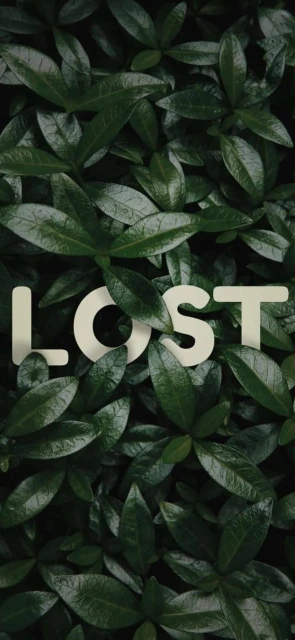 Lost Background Background
