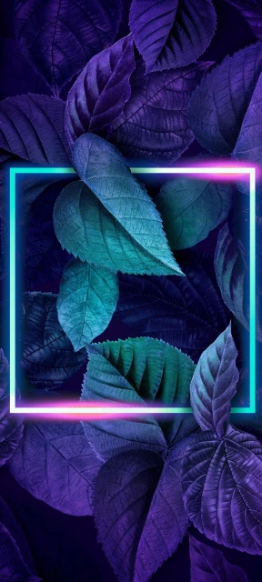 Neon Frame Over Leaves