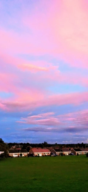 Pink Sky Over Houses