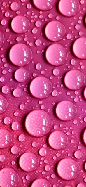 Pink water droplets closeup