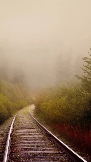 Railway Fog Turn