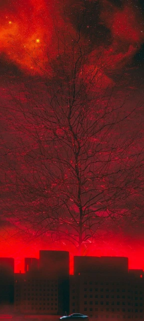Red Nebula Sky With Tree Silhouette