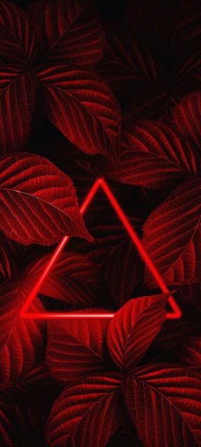 Red Neon Triangle Leaves