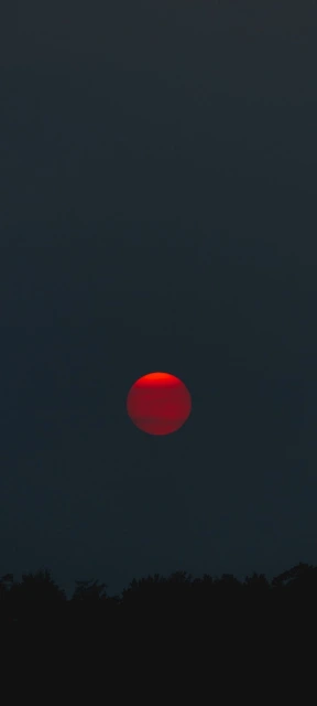 Red Sun Over Dark Trees