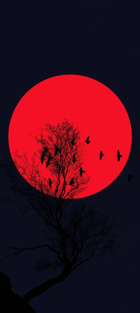 Red Sun Silhouette Birds Tree