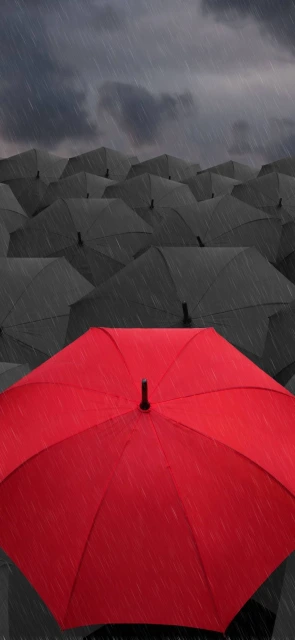Red Umbrella Among Black Umbrellas