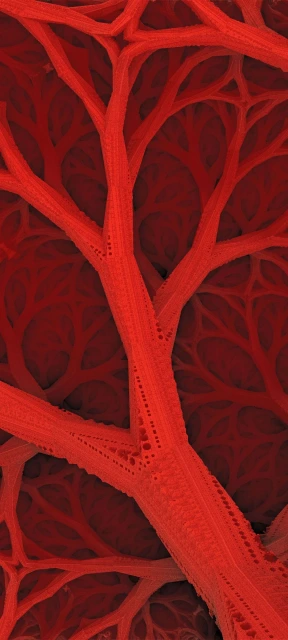 Red Vascular Network