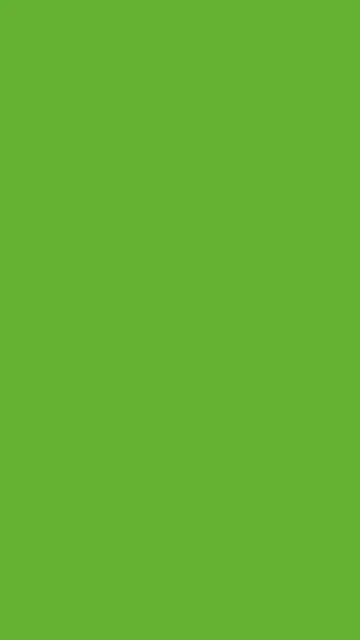 Green Ryb Solid Color Background
