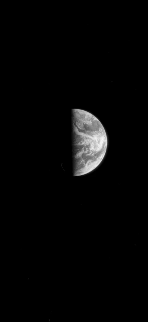 Half Earth in Space
