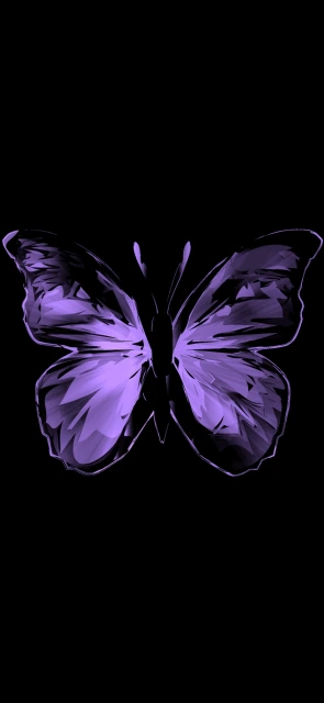 Purple Butterfly