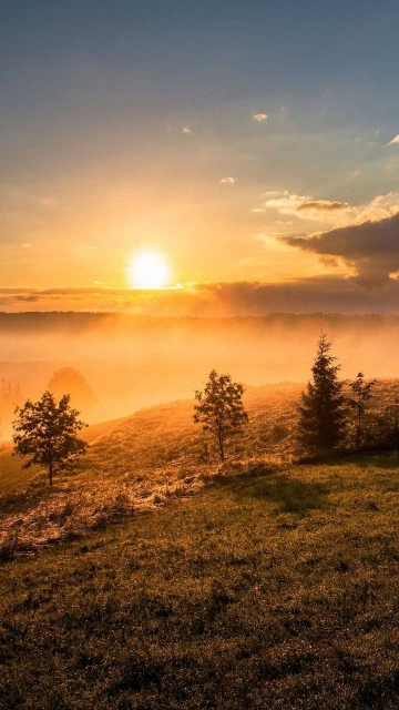 Sunrise Landscape Misty Field