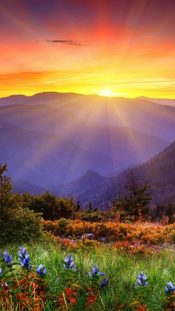 Sunrise Mountain Landscape With Wildflowers
