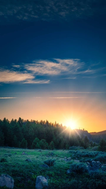 Sunrise Over Forest Landscape