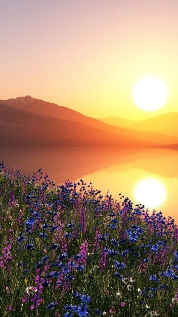 Sunset Over Flower Filled Lake