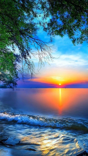Sunset Over Lake With Trees