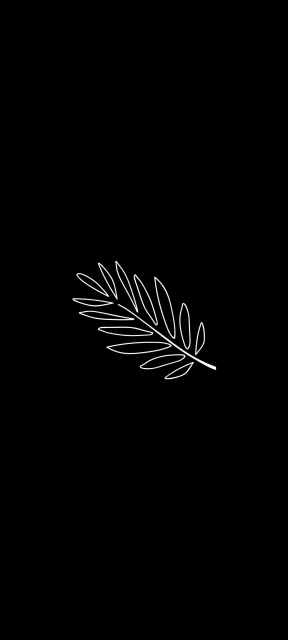 White Leaf Outline on Black