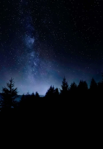 Amoled Trees & Starry Sky