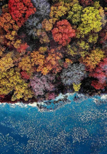 Beautiful Ocean Top