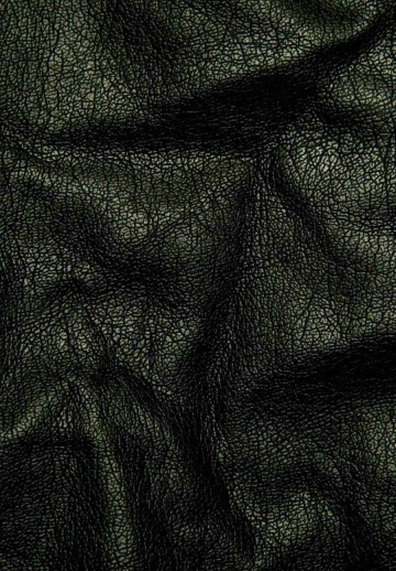 Black Leather 4K