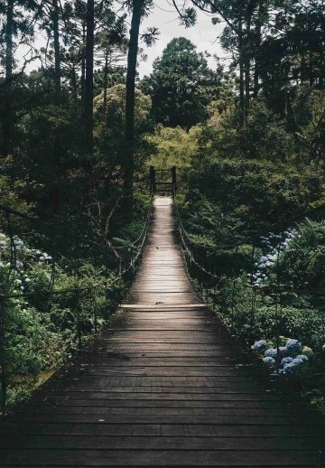 Bridge Over Lake