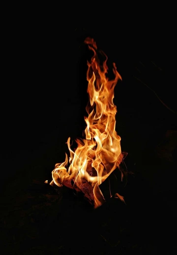 Burning Wood