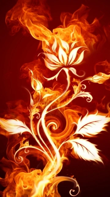 Flaming Flower Plant Wallpaper