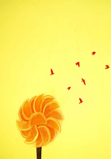 Flower Of Orange