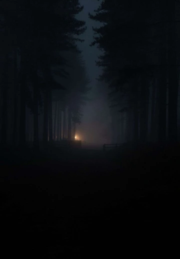 Forest Fog Darkness