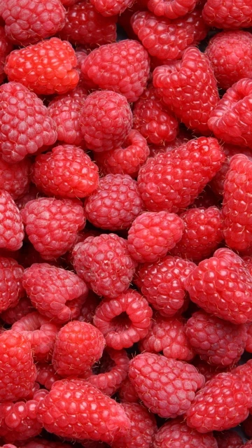 Fresh Red Raspberries