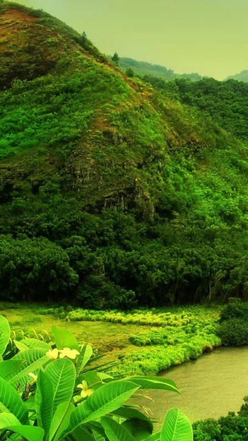 Green Mountain Valley Landscape 1