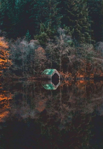Greenery Trees At Ocean