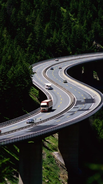 Highway Bridge Winding Through Forest