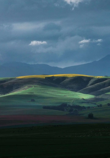 Horizon Field Hills