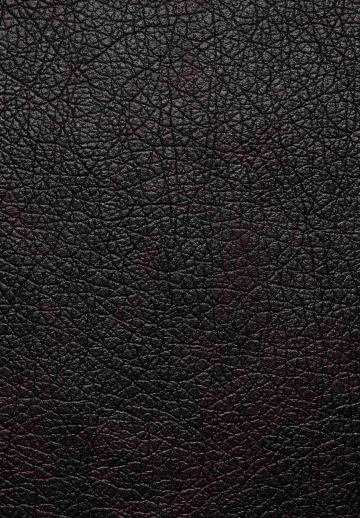 Leather Wall