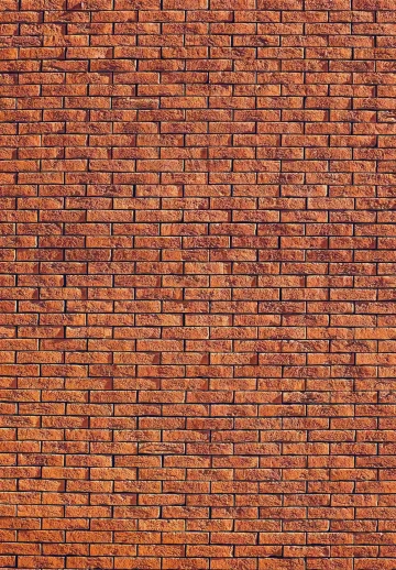 Wall Texture Bricks Light