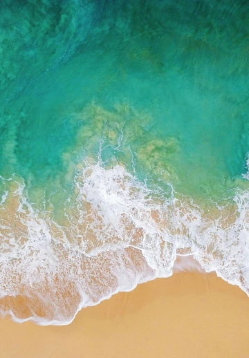 Water Waves
