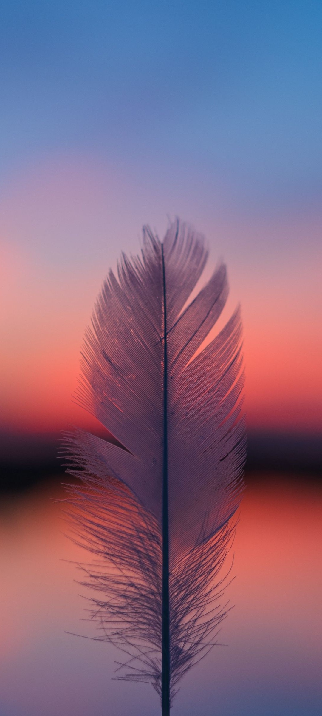 Beautiful Feather Wallpaper