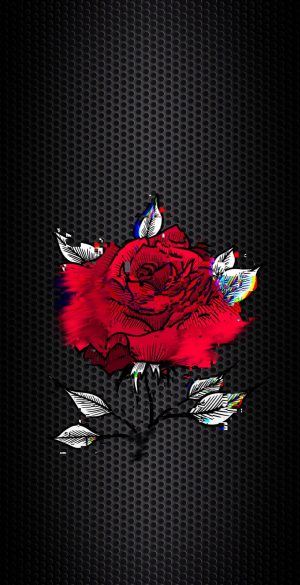 Dark Black Red Rose Phone Wallpaper 300x585 - Realme 9i 5G Wallpapers