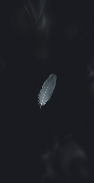 Feather Smooth Black Wallpaper 300x585 - Black Wallpapers