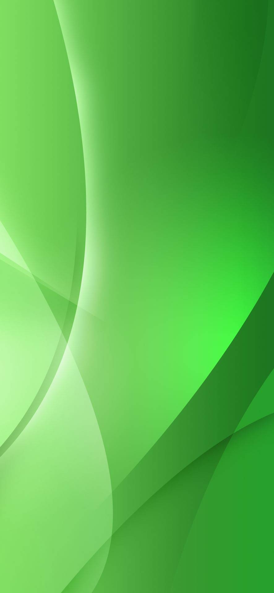  Green Background  Phone Wallpaper 75