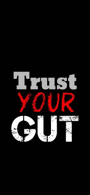 Trust Your Guts Motivational Wallpaper 300x650 - iPhone Quote Wallpapers