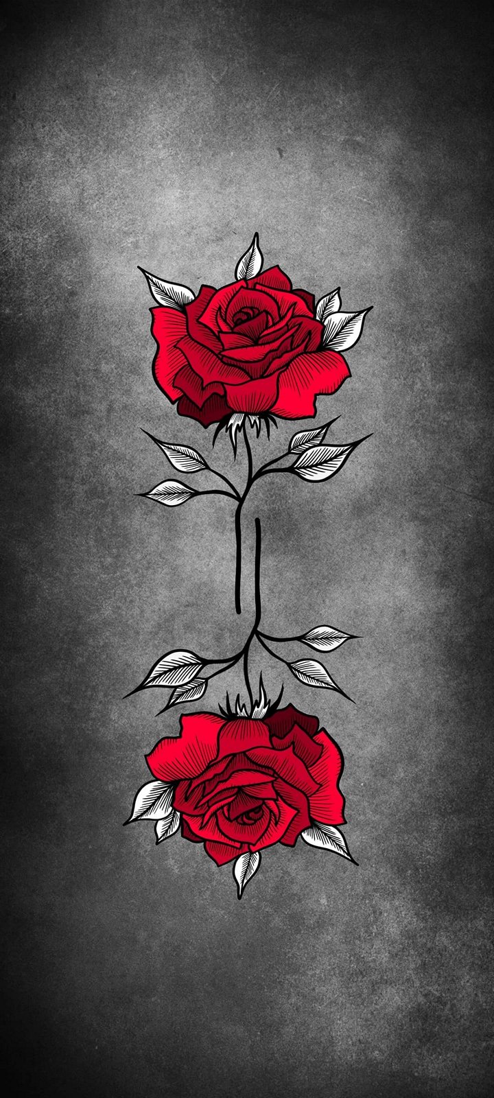 Dark Rose Art Background Wallpaper 720x1600