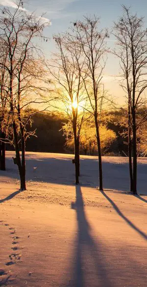 Snow Sunrise Background Wallpaper 720x1600 1 300x585 - Vivo Y33e Wallpapers