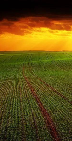 Sunset Green Landscape Background Wallpaper 720x1600 1 300x585 - Vivo iQOO U5e Wallpapers