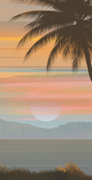 Vector Palm Tree Sky Background Wallpaper 720x1600 1 300x585 - Infinix Smart 5 Pro Wallpapers
