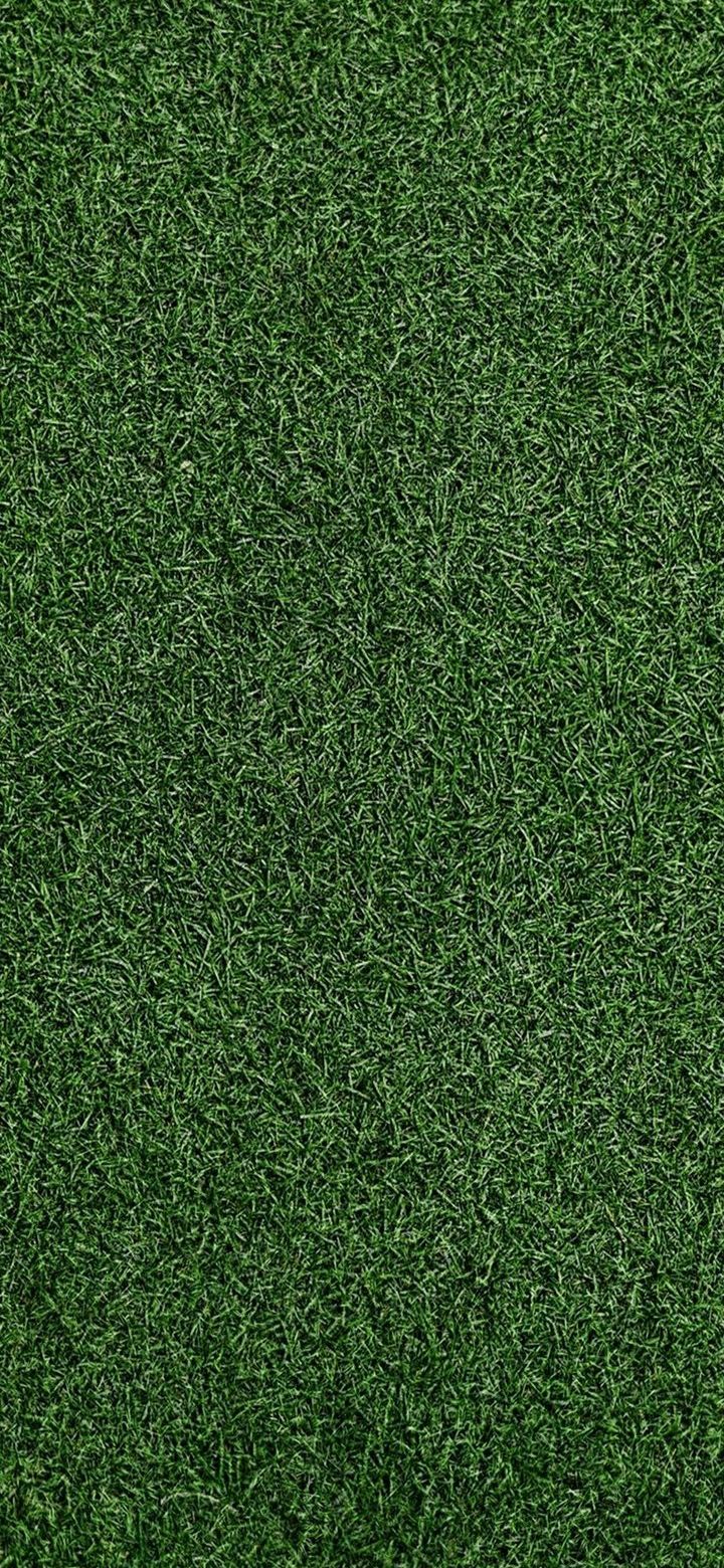 Green Grass  Sky Wallpapers  Green Grass Wallpaper iPhone 4k