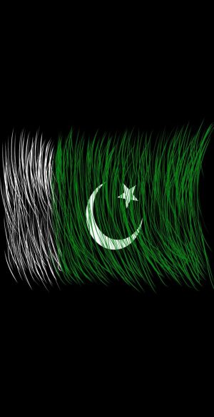 Pakistan Flag Phone Wallpaper 300x585 - Huawei P40 lite E Wallpapers